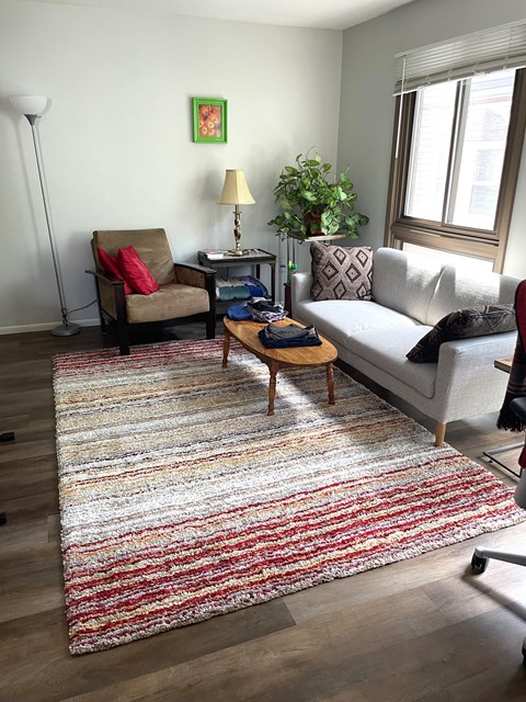 A living room with a grey couch, a brown chair, and a rug.