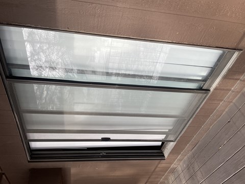 A skylight in a ceiling with a view of trees outside.