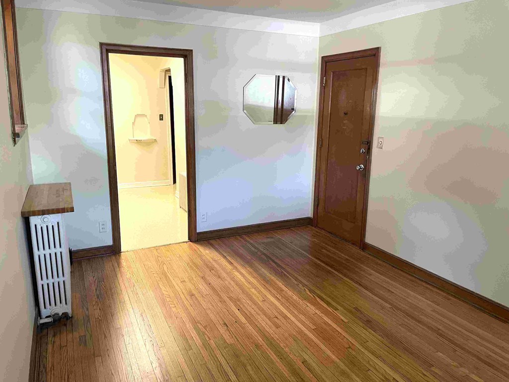 A room with a wooden floor and a brown door.