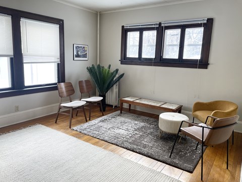 A living room with a rug, a chair, a table, and a plant.