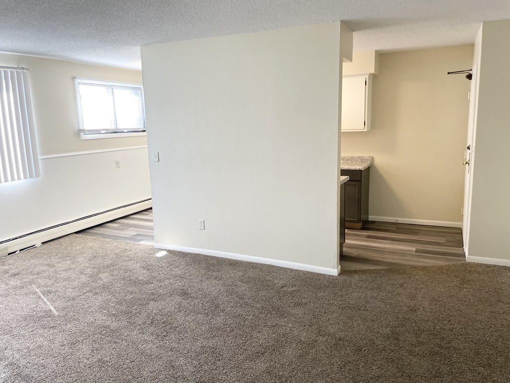 A room with a carpeted floor and a window.