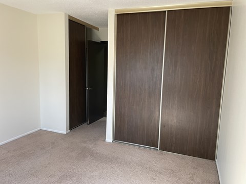 Two closets in the bedroom.