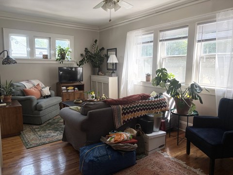 A living room with a grey couch, a brown chair, a bed with a blanket and pillows, a television, a potted plant, and a rug.