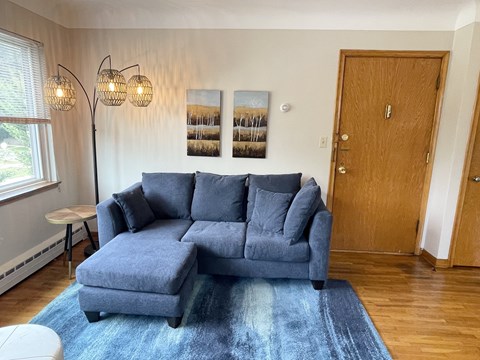 A grey couch with a blue rug in front of a wooden door.