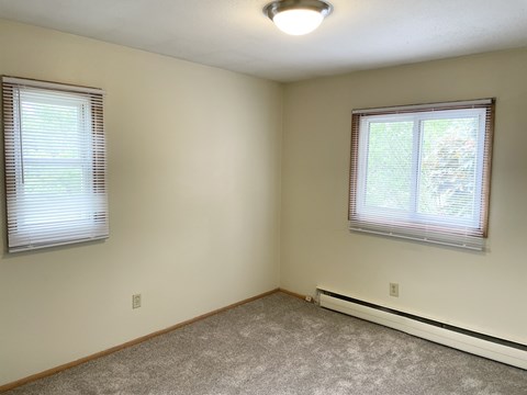 A room with a carpeted floor, two windows with blinds, and a light on the ceiling.