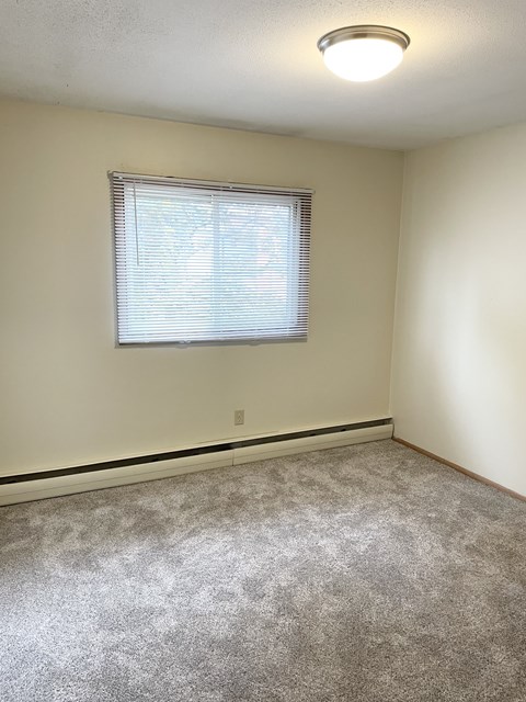 A room with a carpeted floor and a window with blinds.