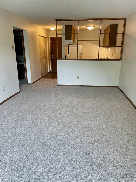 A room with a carpeted floor and a white wall.