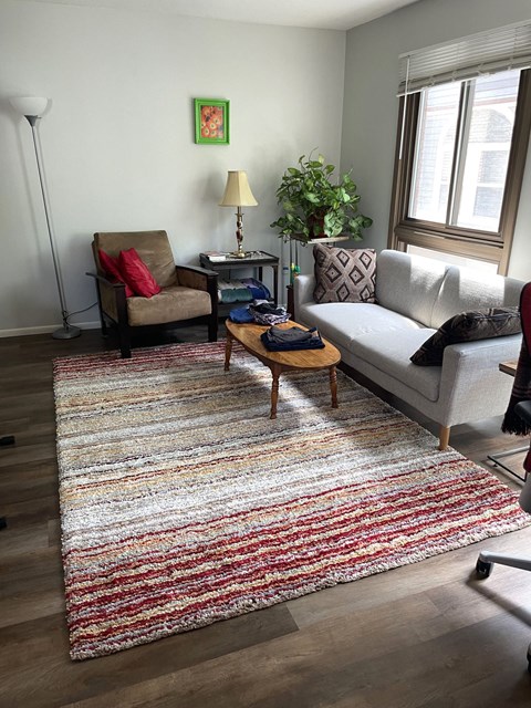 A living room with a rug, a couch, a chair, a table, and a plant.