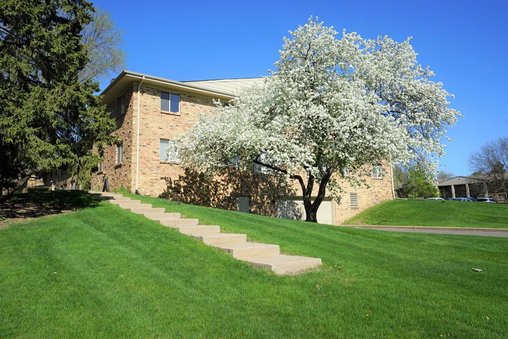 A tree with white flowers is in front of a building.