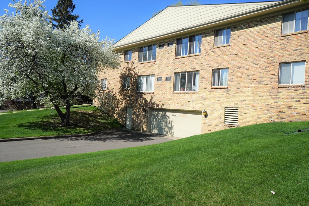 A tree with white flowers is in front of a brick building.