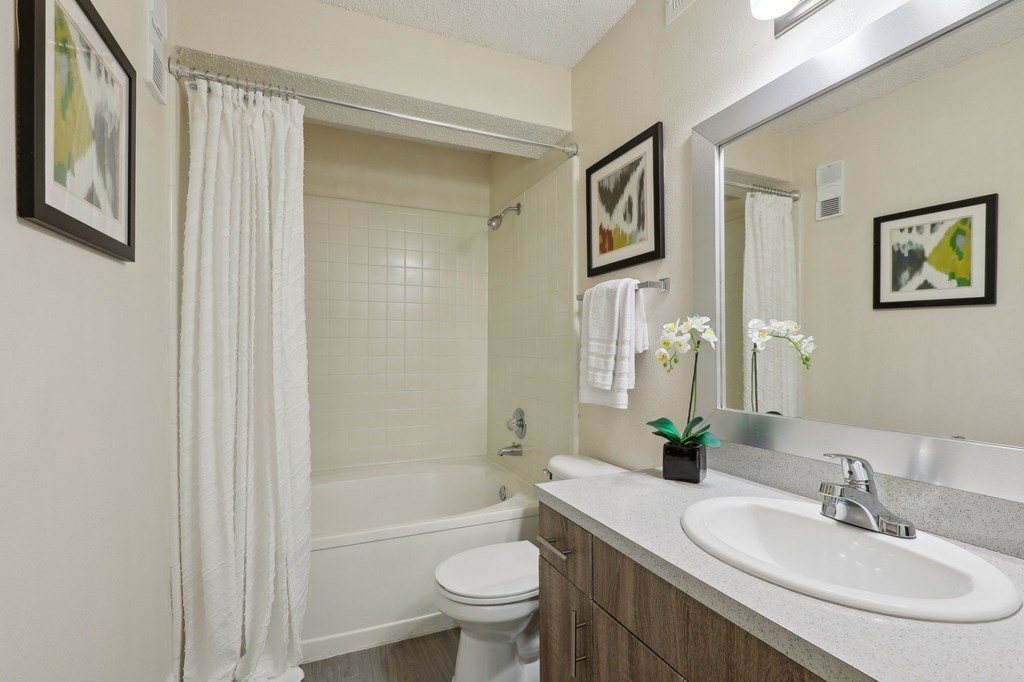 A white bathroom with a toilet, sink, and shower.