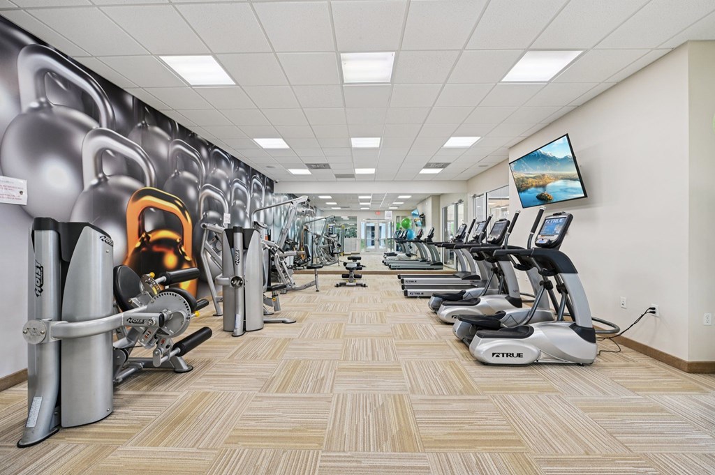A gym with treadmills and exercise equipment.