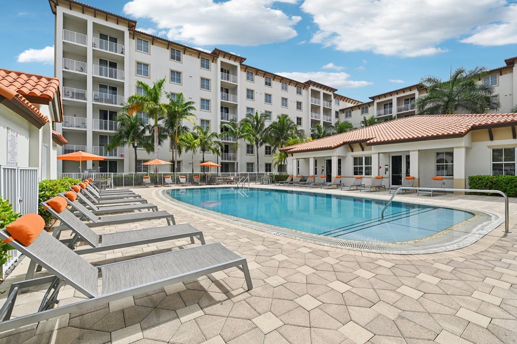 A pool surrounded by sun loungers and umbrellas.