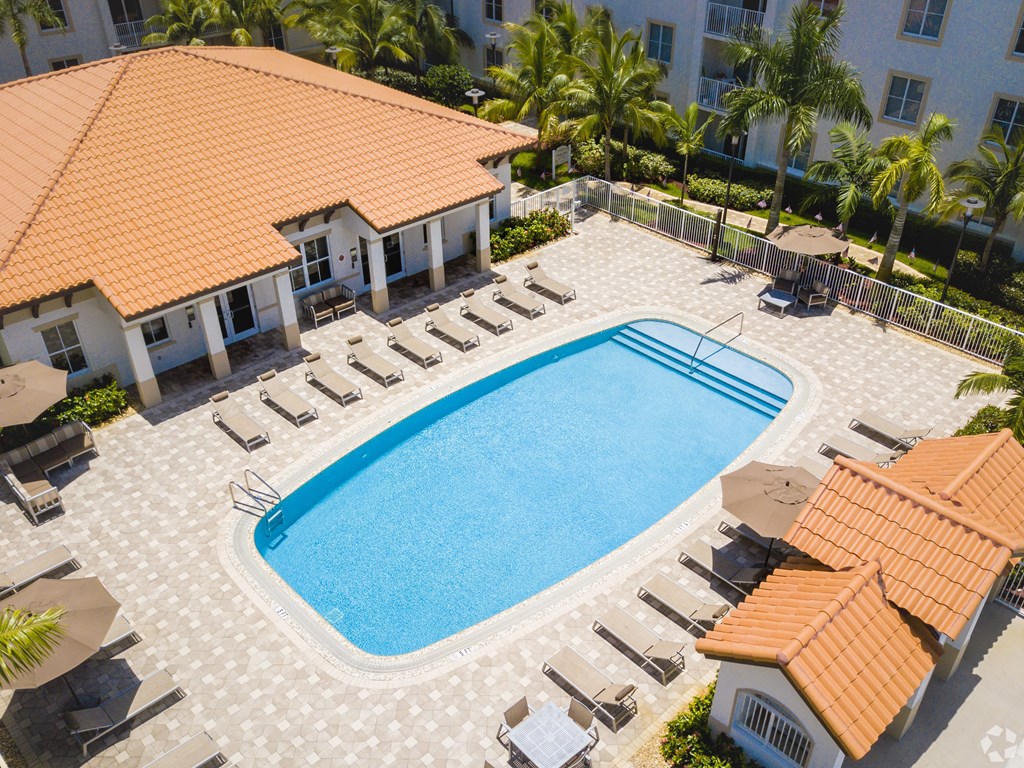 A large swimming pool surrounded by sun loungers and umbrellas.