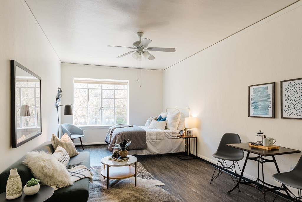 Cozy downtown studio with ample natural light