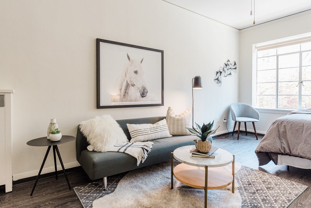 Cozy downtown studio with ample natural light