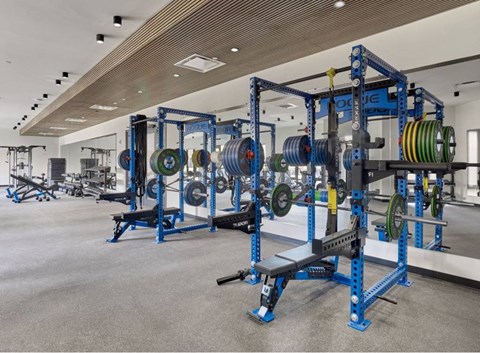 Luxury Fitness Center At 55 Union Newark NJ Featuring State-Of-The-Art Gym Equipment, Weightlifting Racks, Cardio Machines, Modern Workout Space