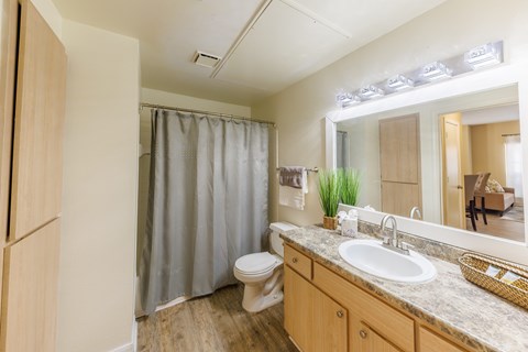 A bathroom with a toilet, sink, and shower curtain.