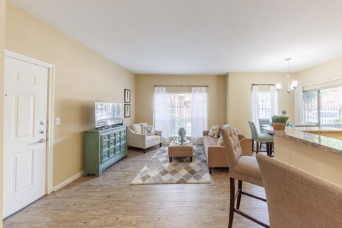 A living room with a green cabinet and a rug on the floor.