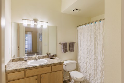 A bathroom with a toilet, sink, and shower.