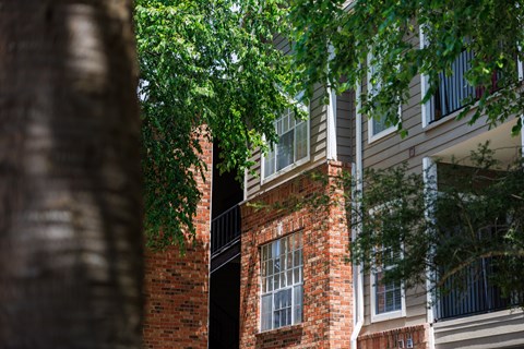 A tree is in the foreground of a building with a balcony.
