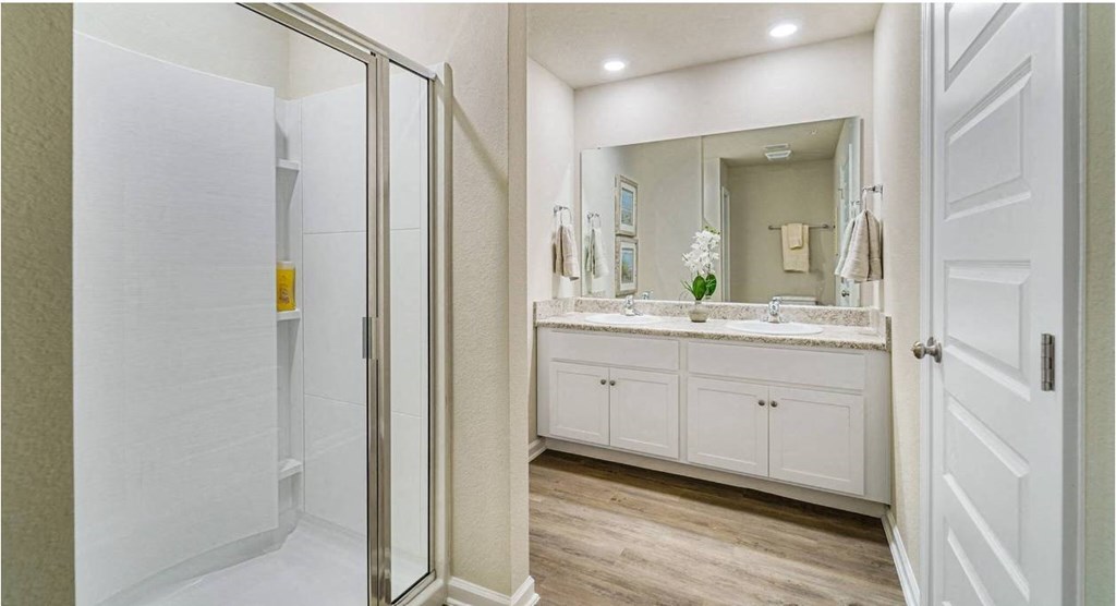 A bathroom with a white vanity and a walk-in shower.