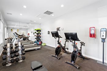 A gym with a row of stationary bikes, dumbbells, and exercise equipment at The Preserve at Pine Valley Apartments, Wilmington, NC 28412