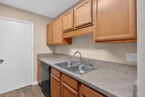 A kitchen with a sink and cabinets.