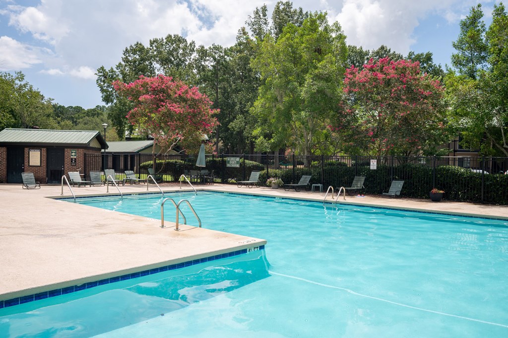 A swimming pool surrounded by trees and chairs at North Bluff Apartments, North Charleston, SC