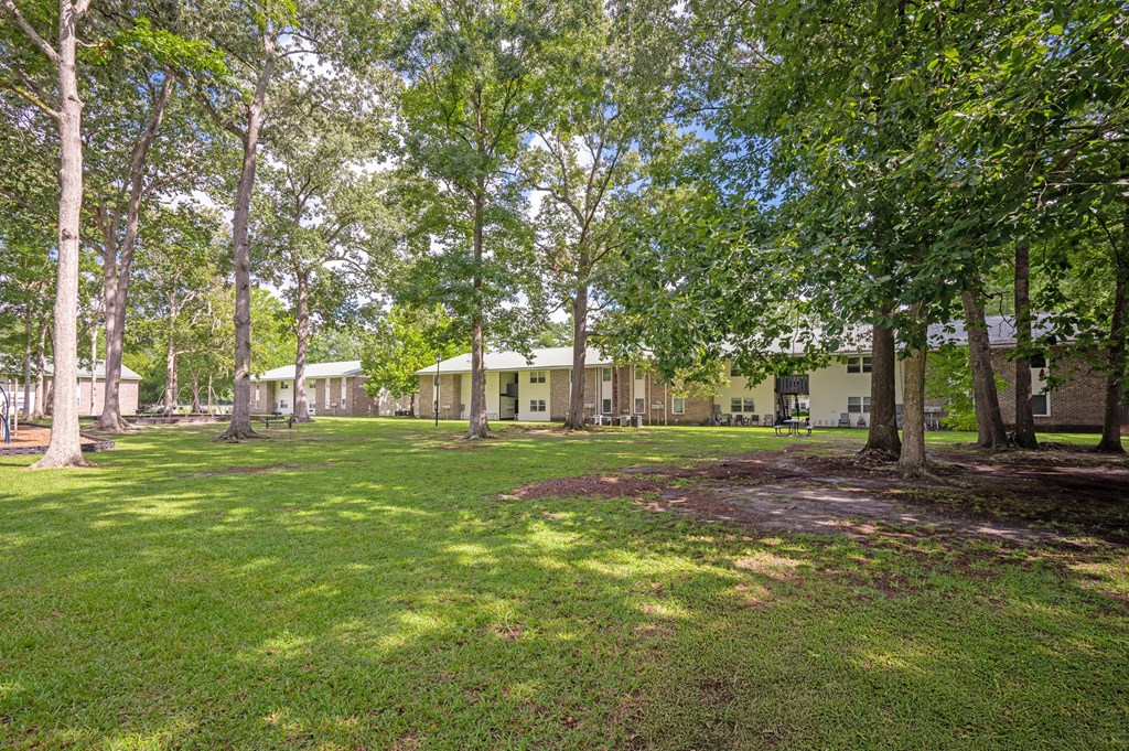 A green lawn with trees and buildings in the background at Sawbranch Apartments, Summerville 29485