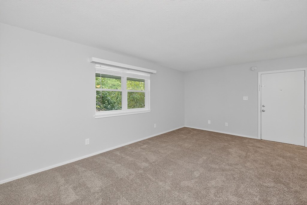 A room with a carpeted floor, a window, and a door at Sawbranch Apartments, South Carolina