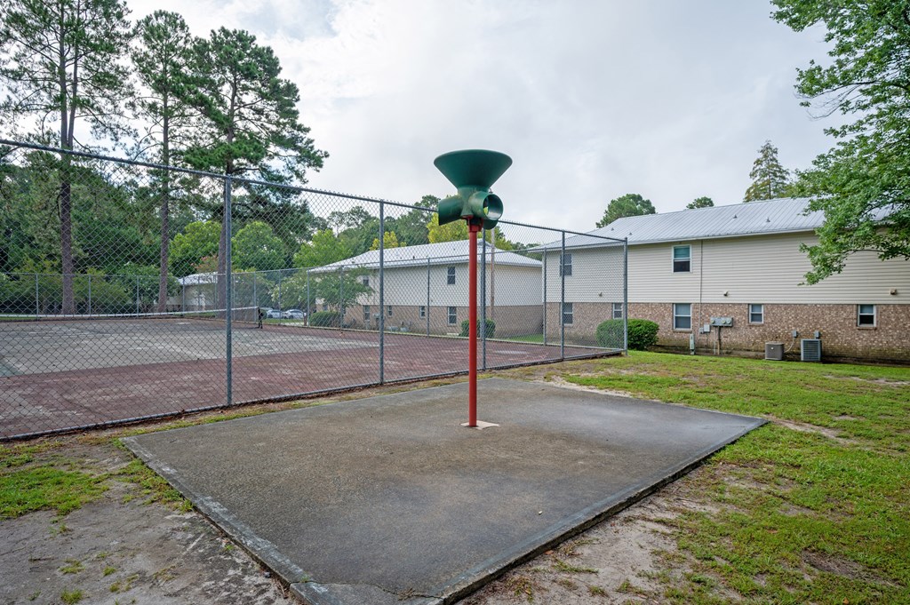 A basketball court with a green hoop and a red pole at Woodlocke Apartments, South Carolina, 27461