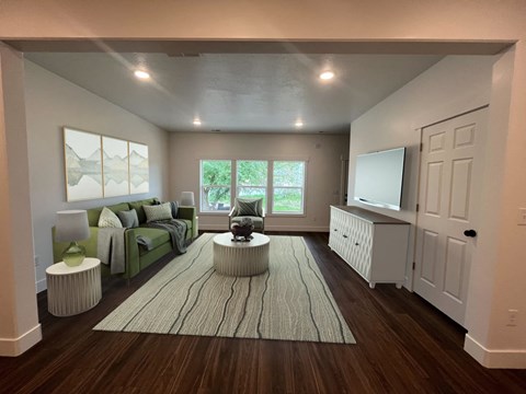 A living room with a couch, a rug, and a television.