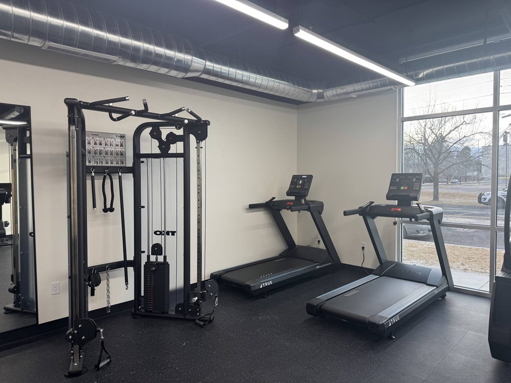 A gym with treadmills, a weight machine, and a squat rack.