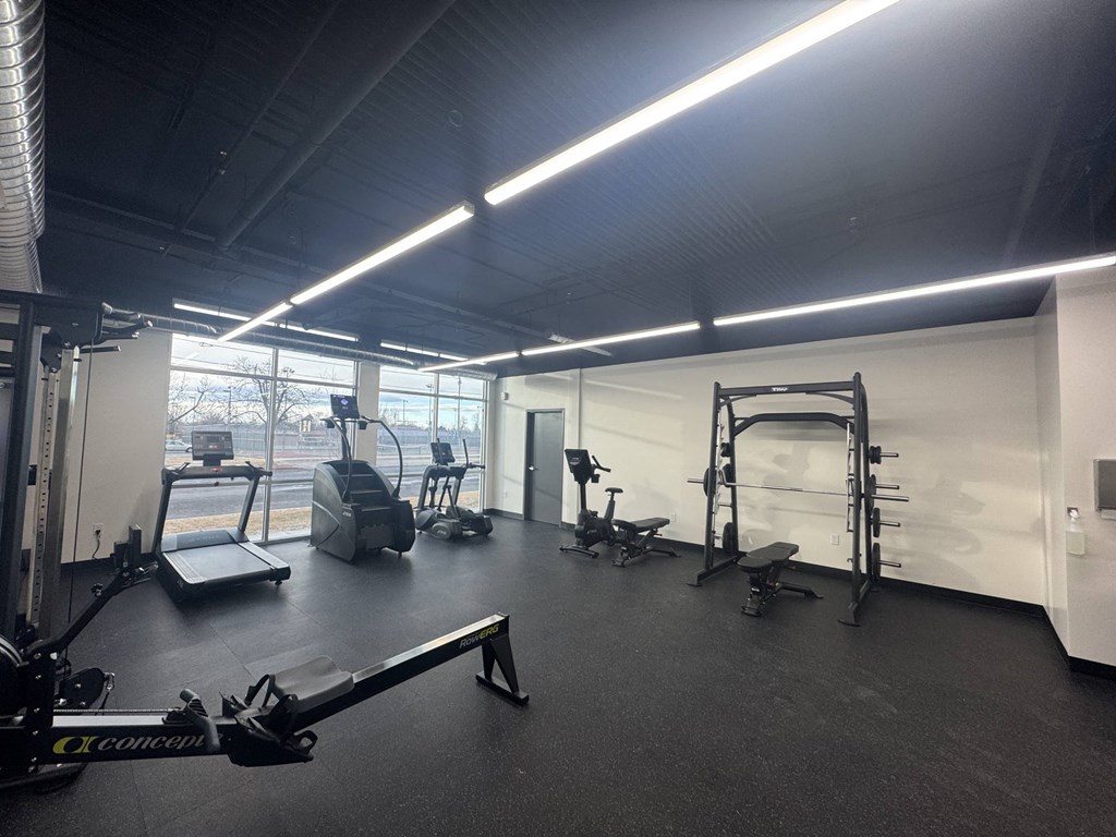 A gym with a variety of equipment including a squat rack, bench, and treadmill.