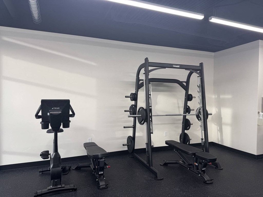 A gym with a weight bench, a squat rack, and a leg press machine.