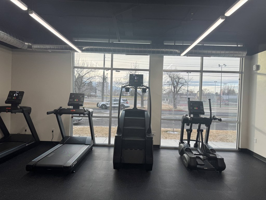 A gym with treadmills, elliptical machines, and a stationary bike.