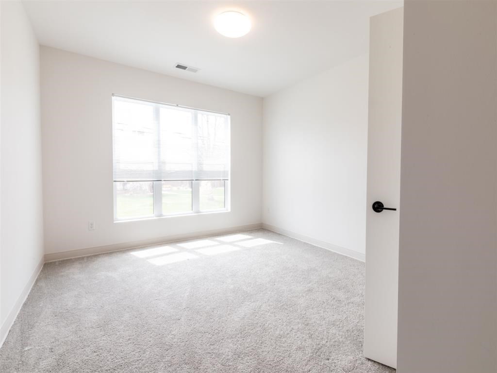 A room with a carpeted floor, a door, and a window letting in natural light.