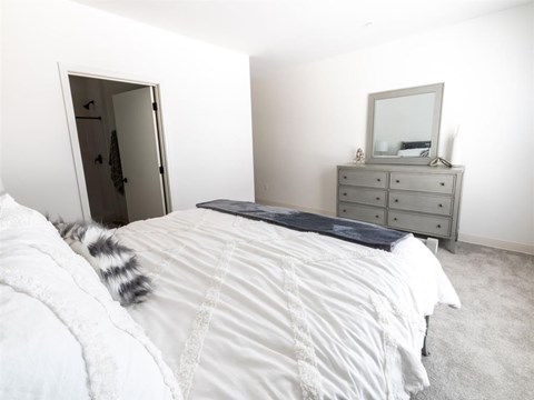 A cat is lying on a white bed in a white bedroom.