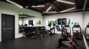 A gym with a row of treadmills and elliptical machines.