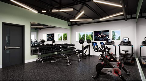 A gym with a row of treadmills and elliptical machines.