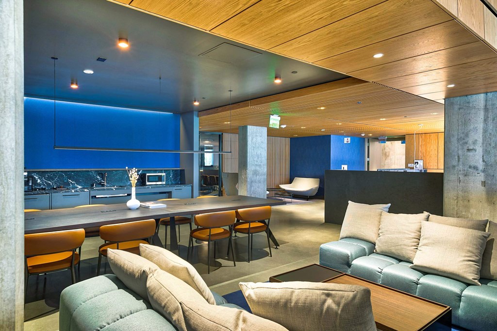 A modern living room with a blue accent wall and a wooden ceiling.at Eleven Fifty Clay Street, California, 94607