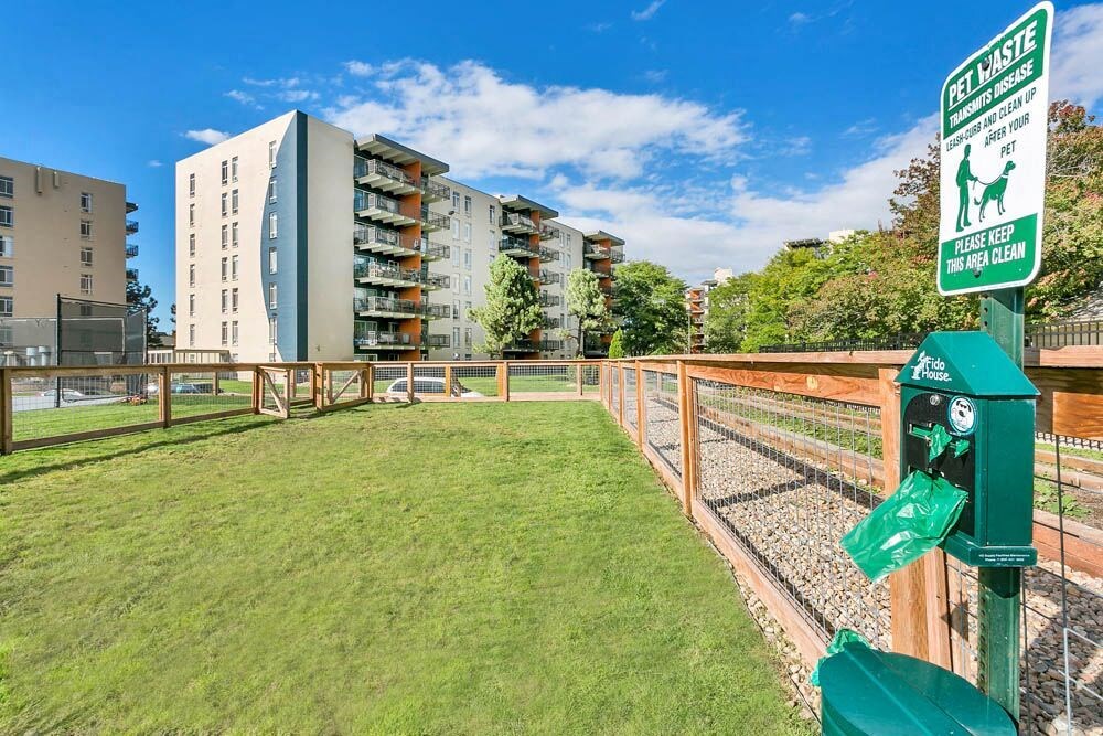 Dog Park at The Lex At Lowry, Denver