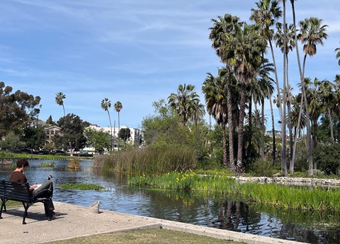 Person Sitting Near A Lake at 1915 Park, Los Angeles, CA