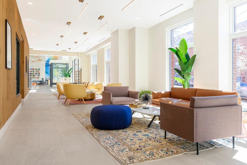 A living room with a blue rug and a brown couch.at The Vale at the Parks, Washington District of Columbia  