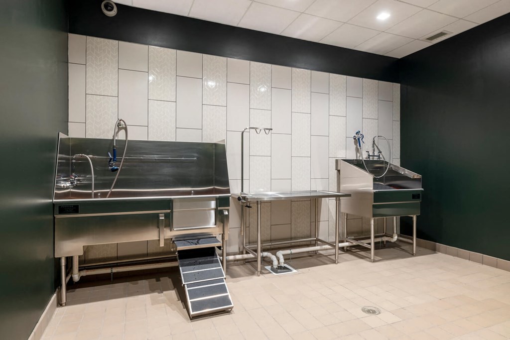 Pet Wash at The Vale at the Parks, District of Columbia  