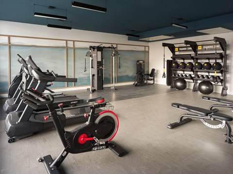 A gym with a stationary bike in the foreground.