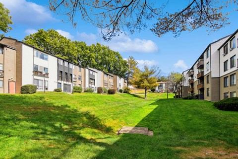 A row of apartment buildings with a green lawn in front.