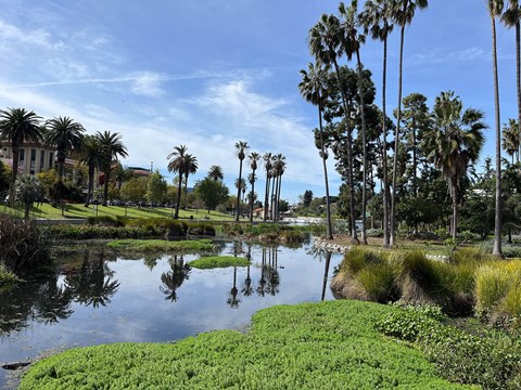 Pond View at 1915 Park, Los Angeles, CA 90026