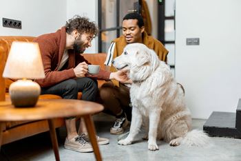 A man is sitting on a couch with a dog in front of him.